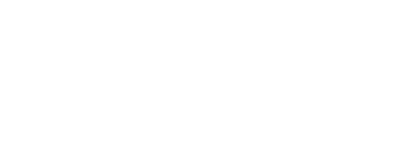 BELGEE